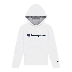 mens champion hoodie